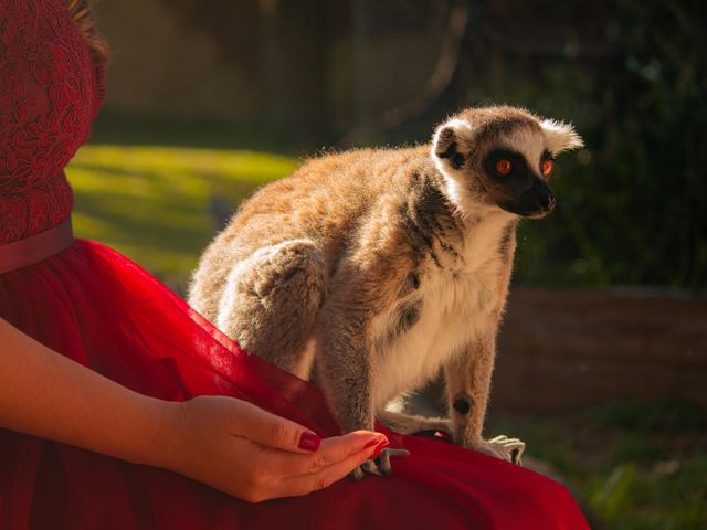 O casamento de Rui e Viviana em Lagos, Lagos 46