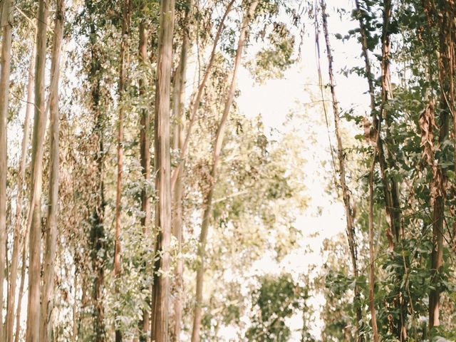 O casamento de Edivaldo e Sílvia em Arouca, Arouca 8