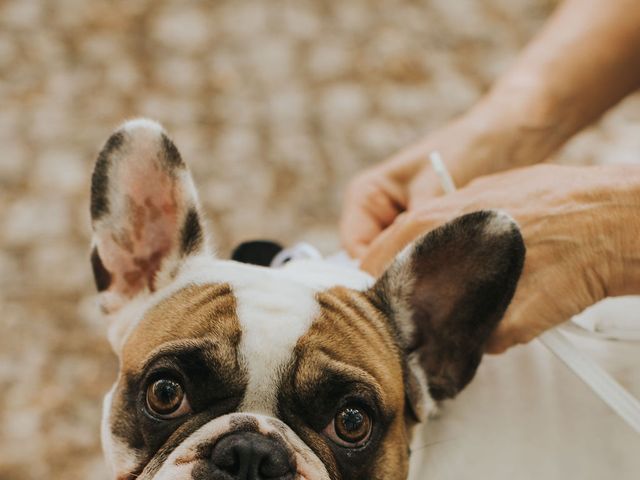 O casamento de Tomás e Sara em Vila Nogueira de Azeitão, Setúbal (Concelho) 17