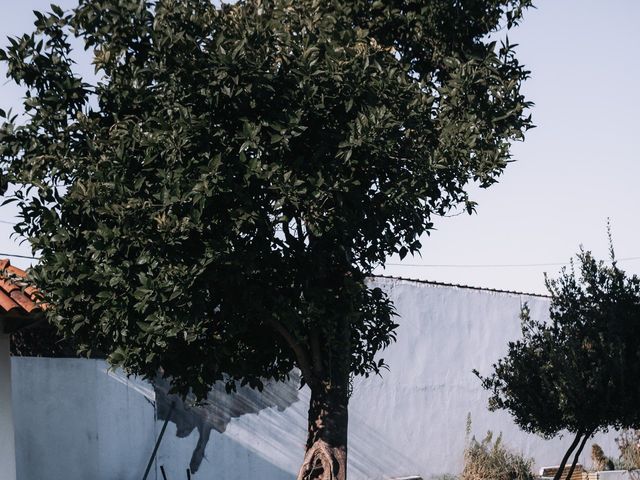 O casamento de Alexandre e Catarina em Coimbra, Coimbra (Concelho) 6