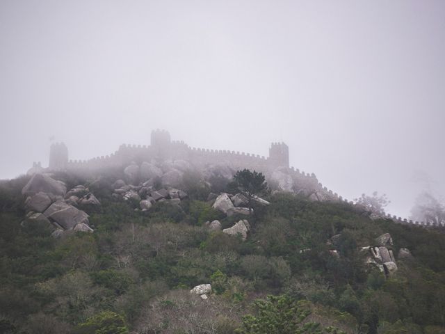 O casamento de Tiago e Rita em Sintra, Sintra 16