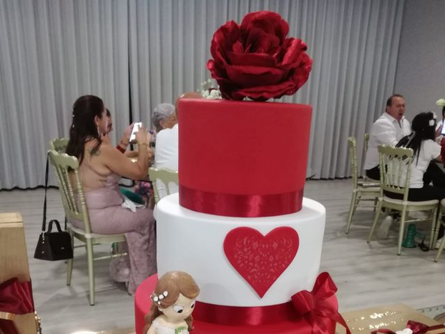 O casamento de Americo e Tania em Cucujães, Oliveira de Azeméis 4