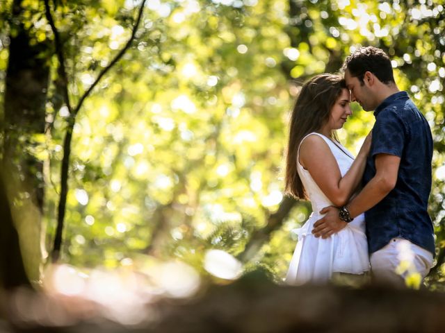 O casamento de Robin e Alexandra em Aveiro, Aveiro (Concelho) 221