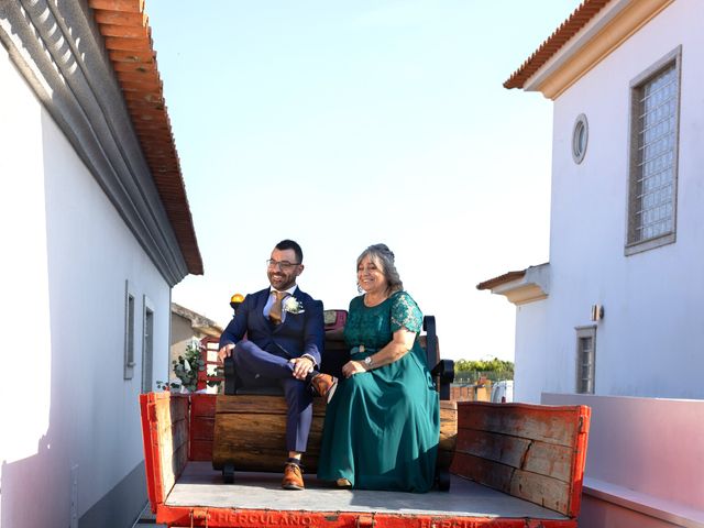O casamento de Luis e Ana em Gafanha do Carmo, Ílhavo 13
