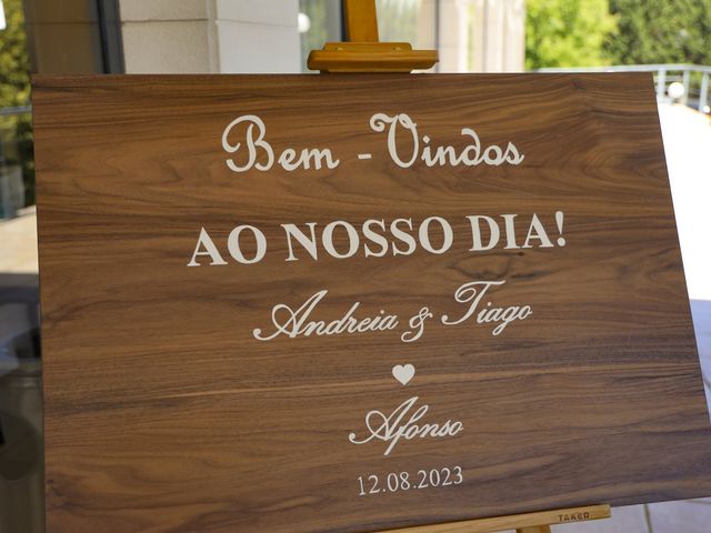 O casamento de Tiago e Andreia em Santiago da Guarda, Ansião 47