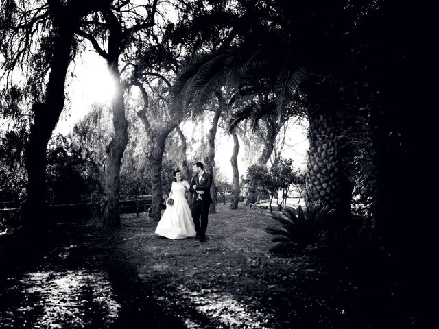 O casamento de Rui e Sofia em Vale do Paraiso, Azambuja 91