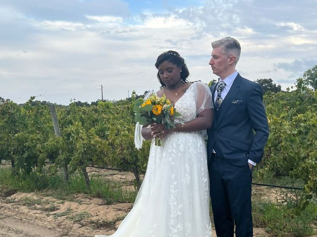 O casamento de Adriano  e Denisse  em Azeitão, Setúbal (Concelho) 7