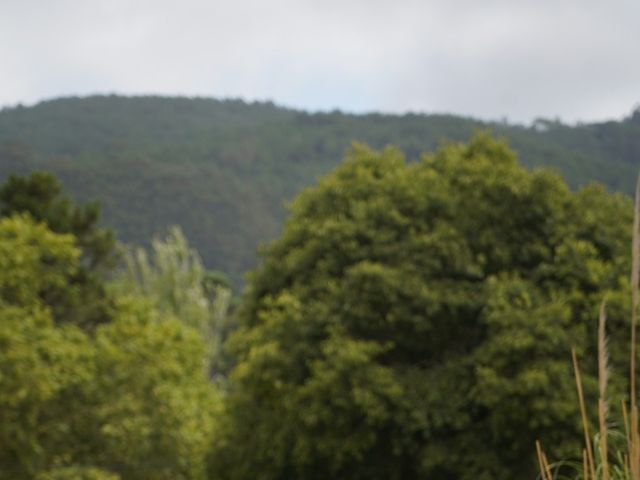 O casamento de Melissa e Alexandre  em Agualva-Cacém, Sintra 9