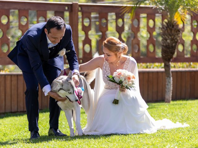 O casamento de Joana e Raul em Sintra, Sintra 71