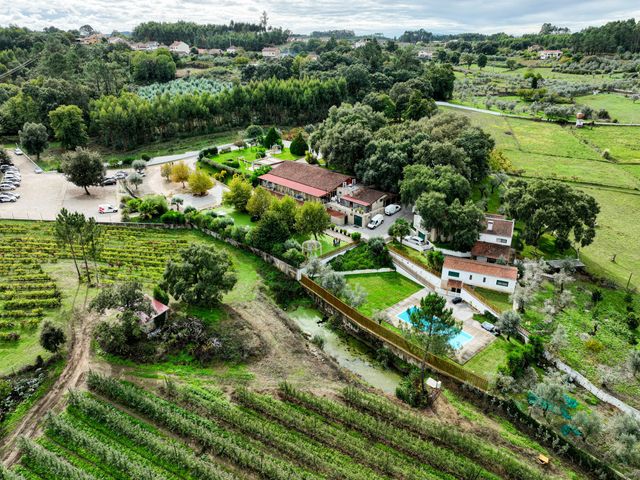 O casamento de Mikaël e Manuela em Vila de Rei, Vila de Rei 22