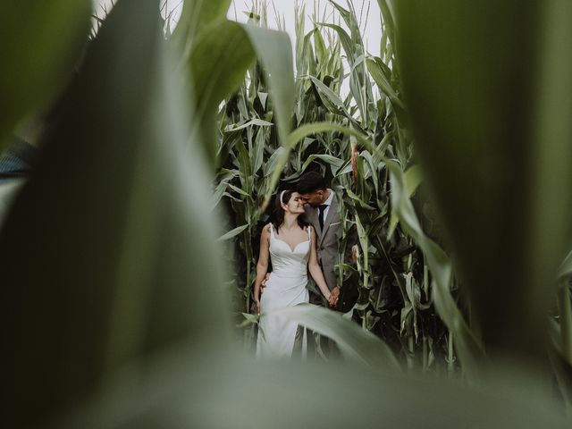 O casamento de Filipe e Ana em Labruge, Vila do Conde 41