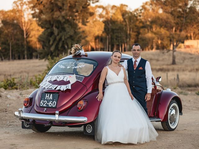O casamento de Pedro e Marlene em Castro Verde, Castro Verde 22