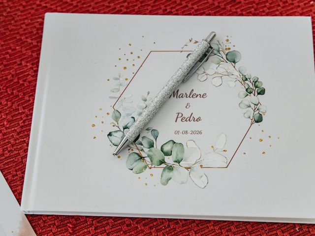O casamento de Pedro e Marlene em Castro Verde, Castro Verde 38