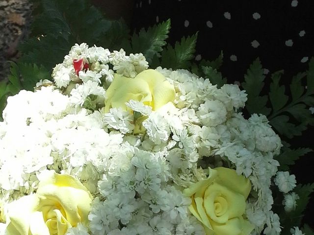 O casamento de Alexandre e Katia em Alquerubim, Albergaria-a-Velha 6