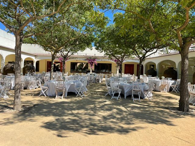 O casamento de André e Diana em Azeitão, Setúbal (Concelho) 3