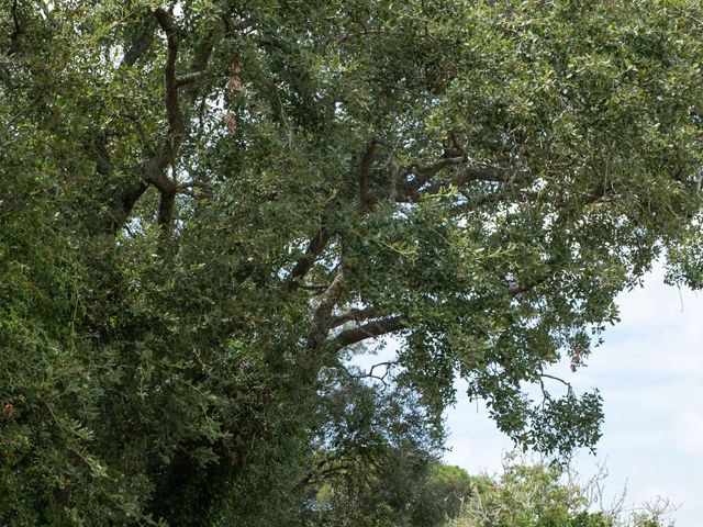 O casamento de Inês e Rodolfo em Vila Franca do Rosário, Mafra 22