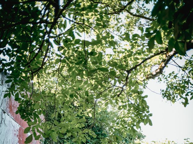 O casamento de Rafael e Mariana em Benedita, Alcobaça 53