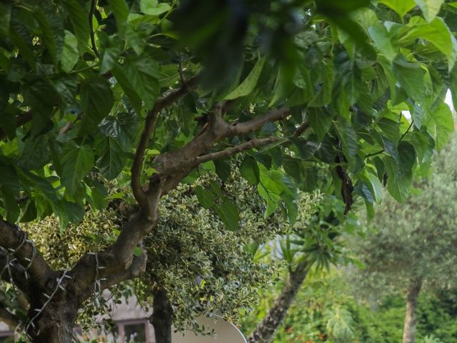 O casamento de Hélder e Clara em Guimarães, Guimarães 169