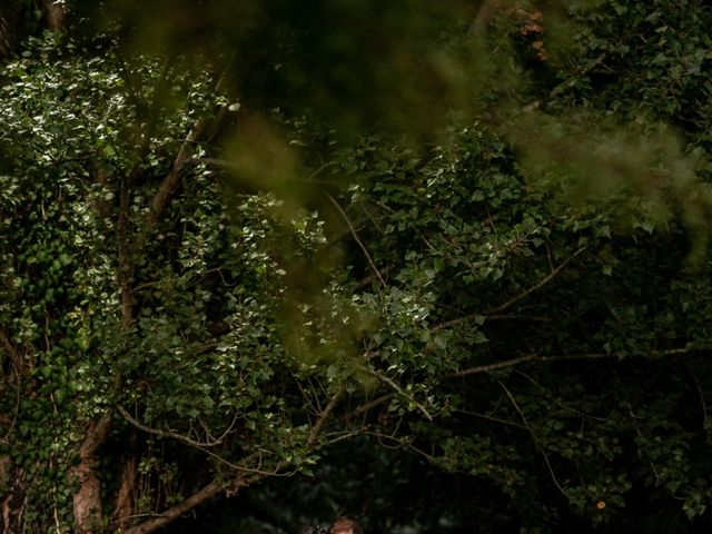 O casamento de Nuno e Sílvia  em Aguada de Cima, Águeda 8