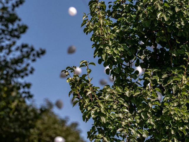 O casamento de Nuno e Sílvia  em Aguada de Cima, Águeda 12