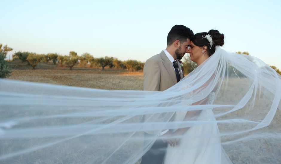 O casamento de Alexandre Joaquim e Alexandra Santos em Santarém, Santarém (Concelho)