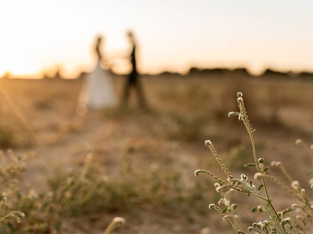 O casamento de Filipe e Andreia em Pegões, Montijo 124