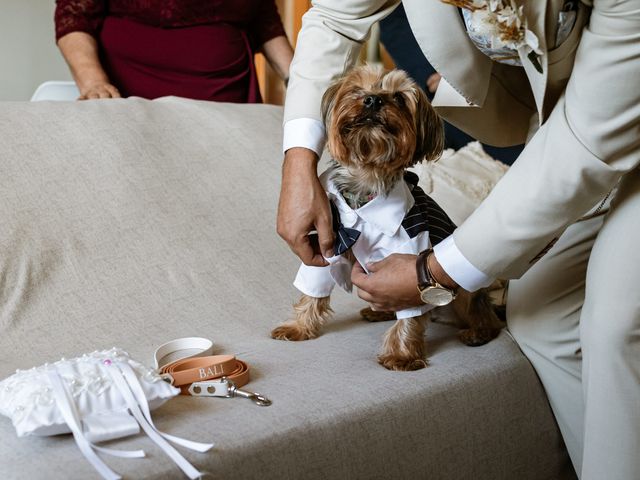 O casamento de Daniel e Joana em Pegões, Montijo 14