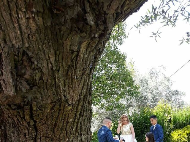 O casamento de Márcio  e Sonya  em Fajões, Oliveira de Azeméis 6