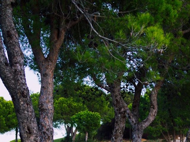 O casamento de Nuno e Inês em Castro Marim, Castro Marim 26