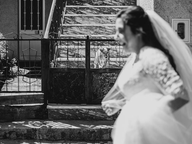 O casamento de Pedro e Inês em Tondela, Tondela 123