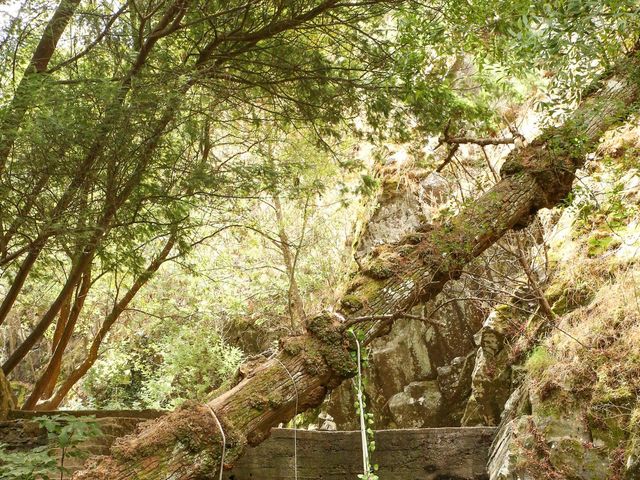 O casamento de António e Catarina em Tondela, Tondela 111