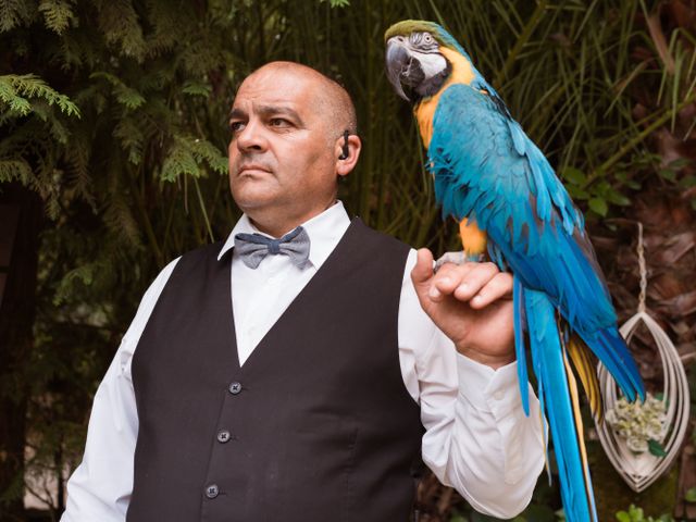 O casamento de Beta e Pedro em Ribeirão, Vila Nova de Famalicão 6