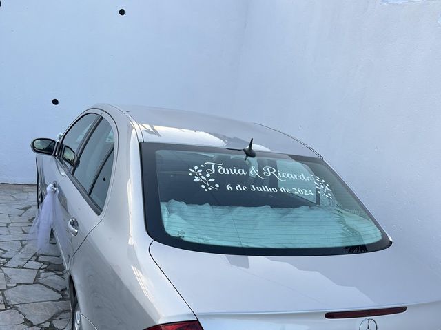 O casamento de Ricardo Mateus e Tânia Mateus em Pero Pinheiro, Sintra 5