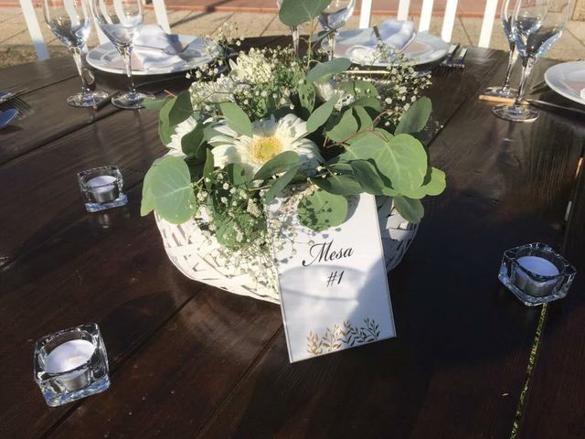O casamento de Daniel e Samara em Montemor-o-Novo, Montemor-o-Novo 16