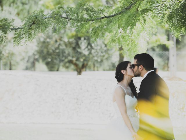 O casamento de Renato e Vânia em Coimbra, Coimbra (Concelho) 13