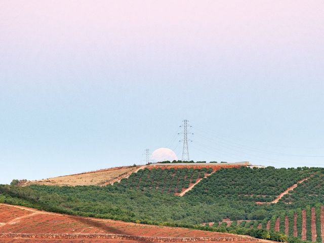 O casamento de Luís e Dina em Silves, Silves 40