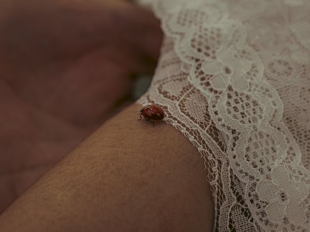 O casamento de Joana e Márcio em Coruche, Coruche 121