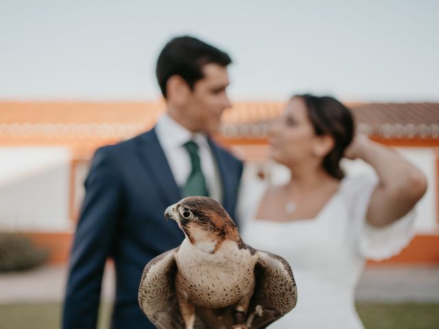 O casamento de Tiago e Mariana em Alter do Chão, Alter do Chão 43