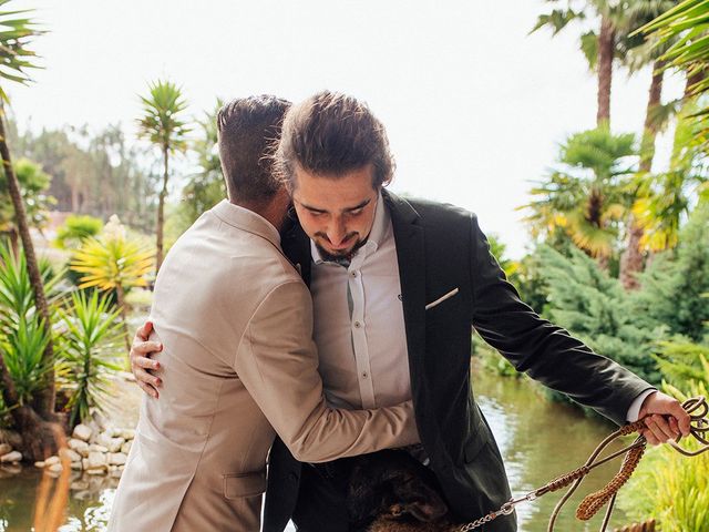 O casamento de Hélio e Filipa em Frossos, Albergaria-a-Velha 51