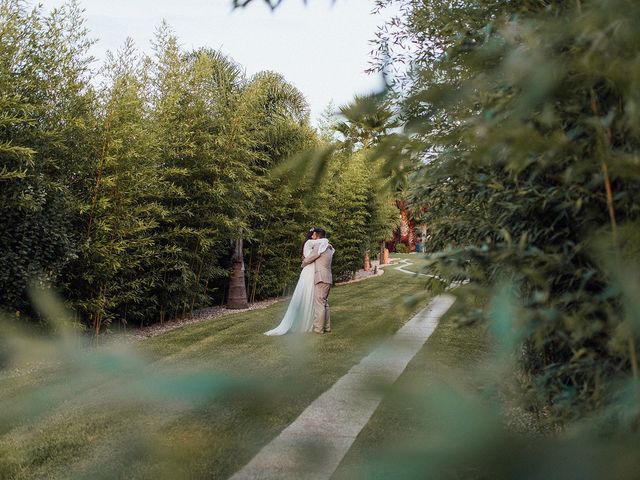 O casamento de Hélio e Filipa em Frossos, Albergaria-a-Velha 116
