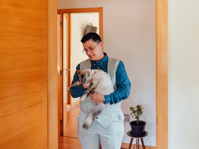 O casamento de Hélio e Filipa em Frossos, Albergaria-a-Velha 214