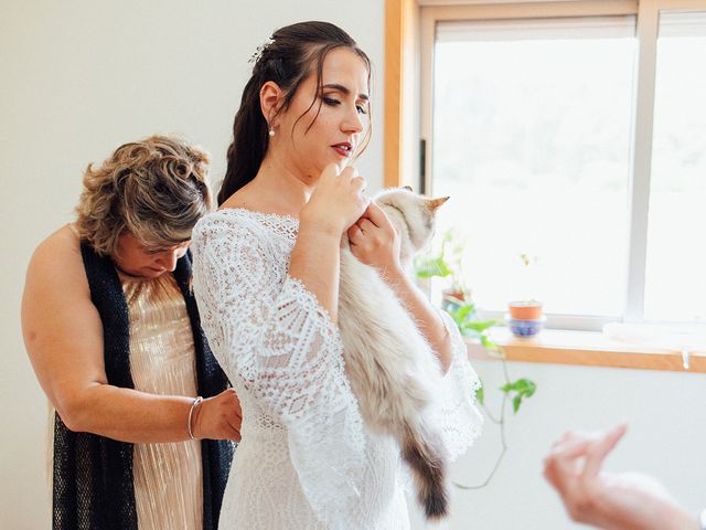 O casamento de Hélio e Filipa em Frossos, Albergaria-a-Velha 215