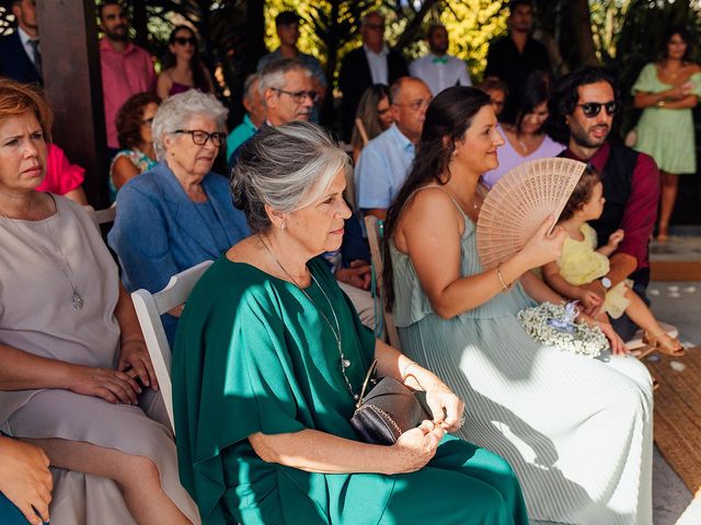O casamento de Hélio e Filipa em Frossos, Albergaria-a-Velha 343