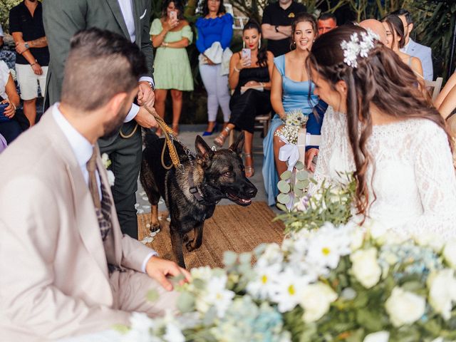 O casamento de Hélio e Filipa em Frossos, Albergaria-a-Velha 359