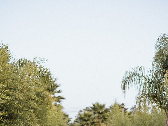 O casamento de Hélio e Filipa em Frossos, Albergaria-a-Velha 659