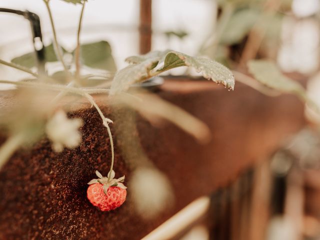 O casamento de Luís e Maria em Óbidos, Óbidos 42