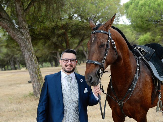 O casamento de Tiago e Rita em Vialonga, Vila Franca de Xira 14