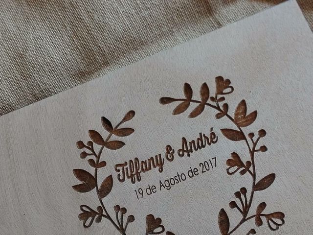 O casamento de André e Tiffany em Viseu, Viseu (Concelho) 5