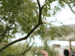 O casamento de Ana e Pedro 2