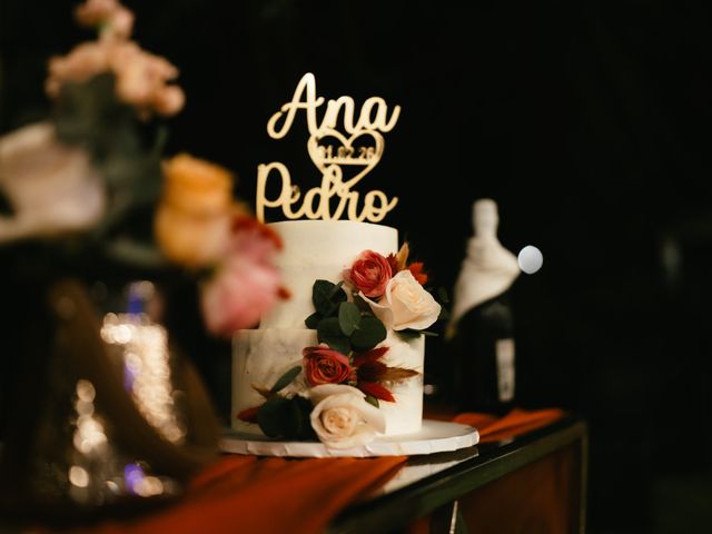 O casamento de Pedro e Ana em Faias, Palmela 113
